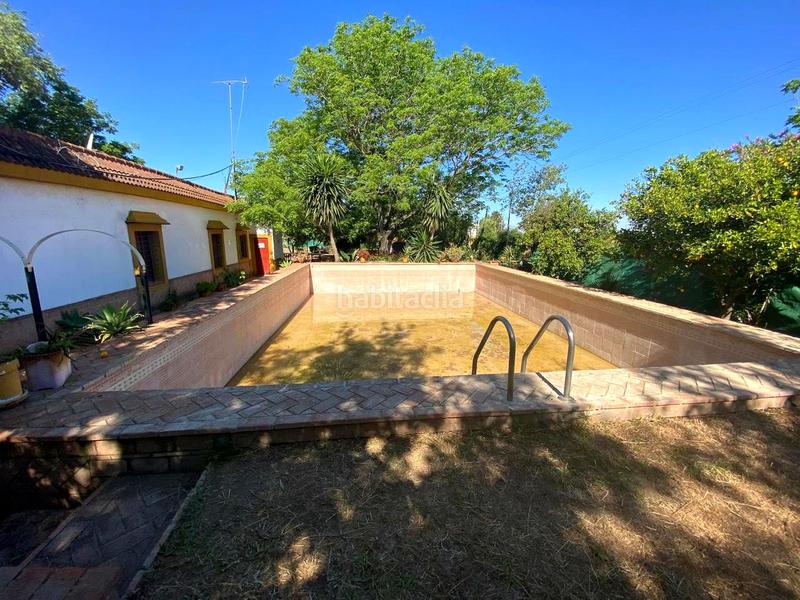 Foto 392204ce-6851-4578-8b95-f8026a72cc44. House with pool in Oromana Alcalá de Guadaira