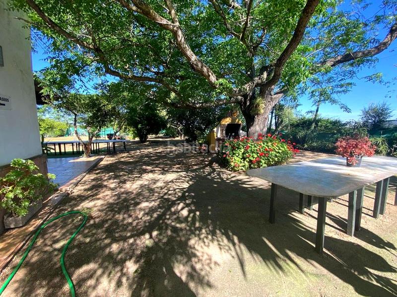 Foto 56f19b07-633b-4b7e-84e4-7884497f380a. House with pool in Oromana Alcalá de Guadaira