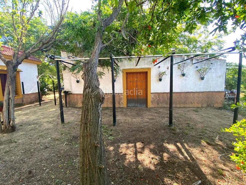 Foto 79cf9184-1526-4135-b3b4-ec42ac315694. House with pool in Oromana Alcalá de Guadaira