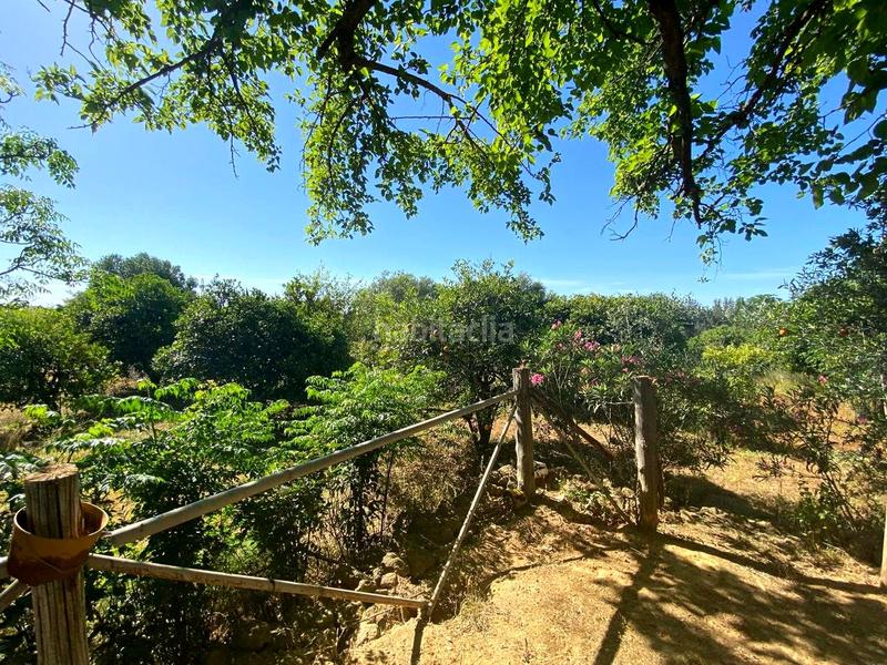 Foto ac915f3e-c7de-4e3c-bc14-b808fe0a8366. House with pool in Oromana Alcalá de Guadaira