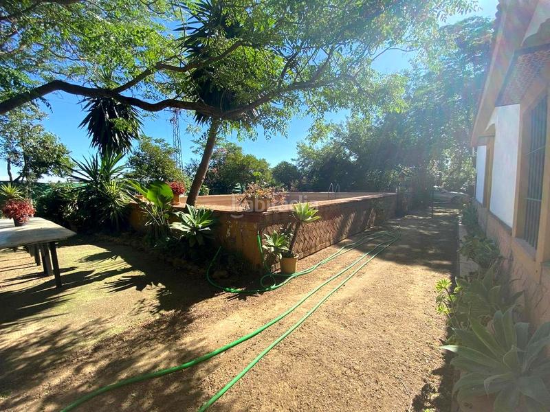 Foto ce457b12-a1dd-4a3d-afe5-3bbc5673f45d. House with pool in Oromana Alcalá de Guadaira