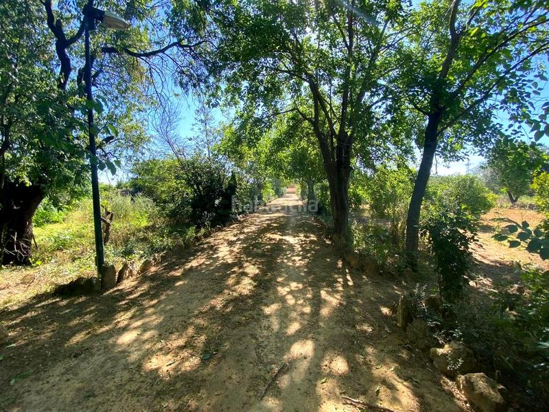 Foto de2be9e6-a4c2-43b4-aa11-109c8fe912b5. House with pool in Oromana Alcalá de Guadaira