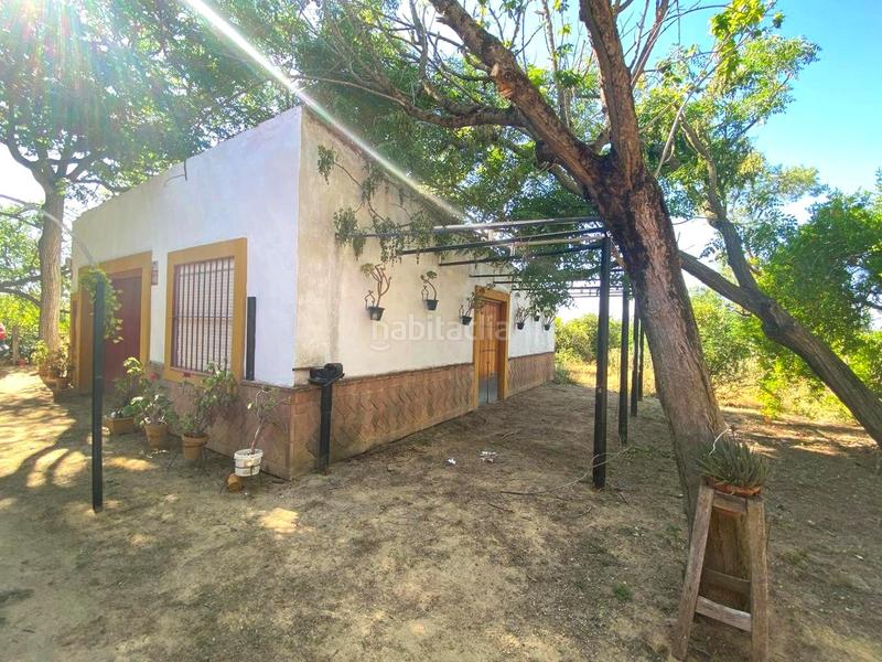 Foto e1a9ad1d-8a46-40d7-9abd-fac956199c9c. House with pool in Oromana Alcalá de Guadaira