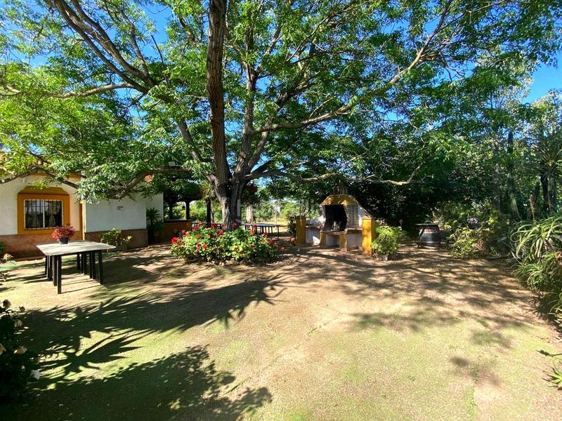 Foto f17c7c3a-0858-4a7e-9a59-49d11540f0b7. House with pool in Oromana Alcalá de Guadaira