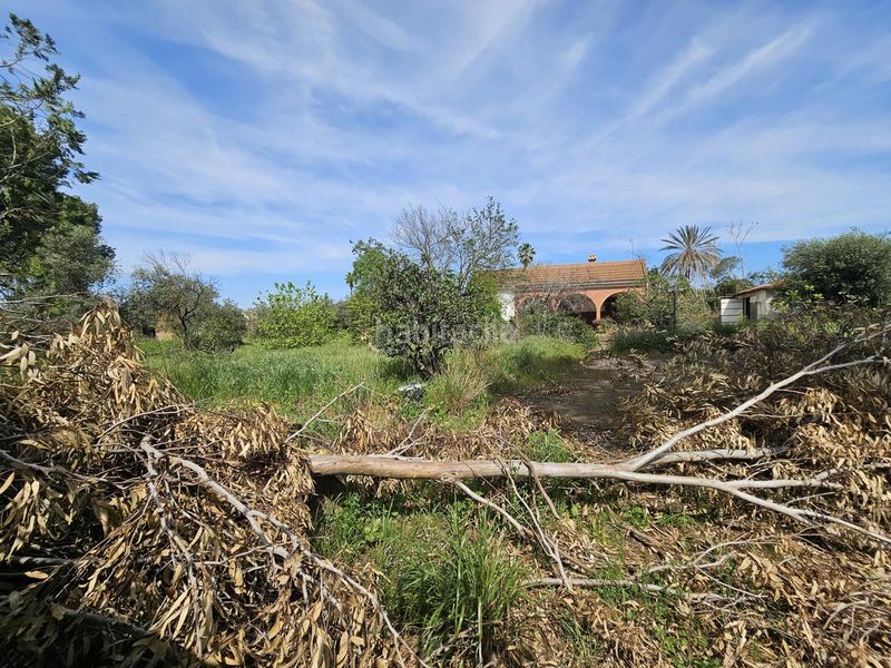 Foto ee1ad056-0af7-4a1e-9f6f-7048e3b100de. Casa a Mairena del Alcor