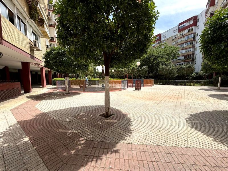 Foto 62789b48-883d-4679-947c-4b1a49ac8fe5. Pis a Sta. Aurelia - Cantábrico - Atlàntico - La Romería Sevilla