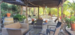 Edifici a Petrer. Singular hotel rural en venta con licencia turística activa en p