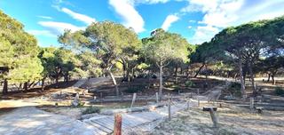 Appartement à Pueblo. Piso recién reformado en el centro de guardamar