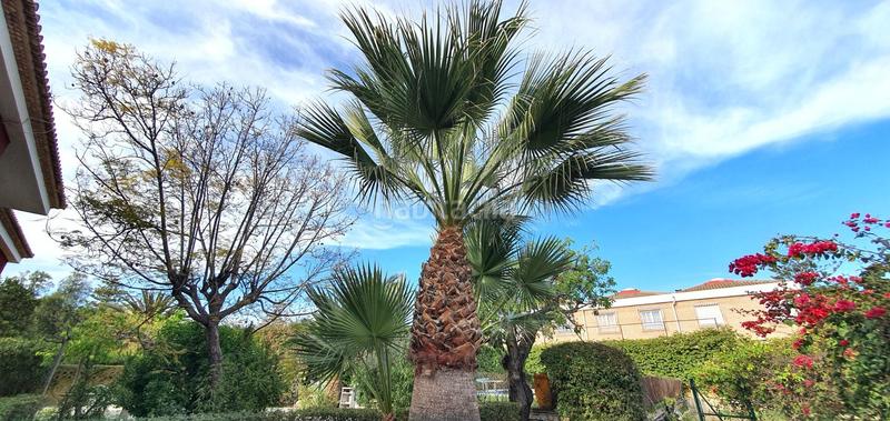 Foto ae2219a0-60ea-4ad1-acdf-733faf01d178. Xalet amb calefacció aparcament piscina a La Font-Mezquitas San Juan de Alicante