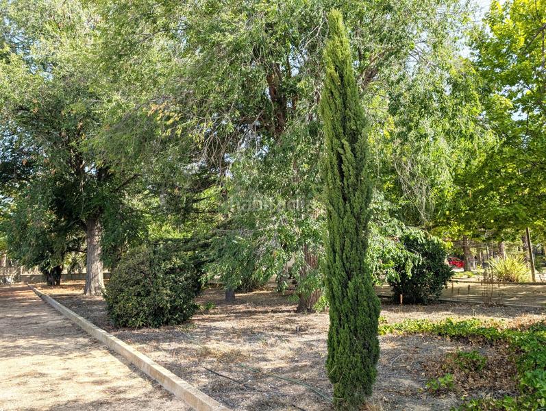 Foto 1cf16885-2c19-4b89-98b0-ca83c902c296. Bauernhof mit parking in Onil