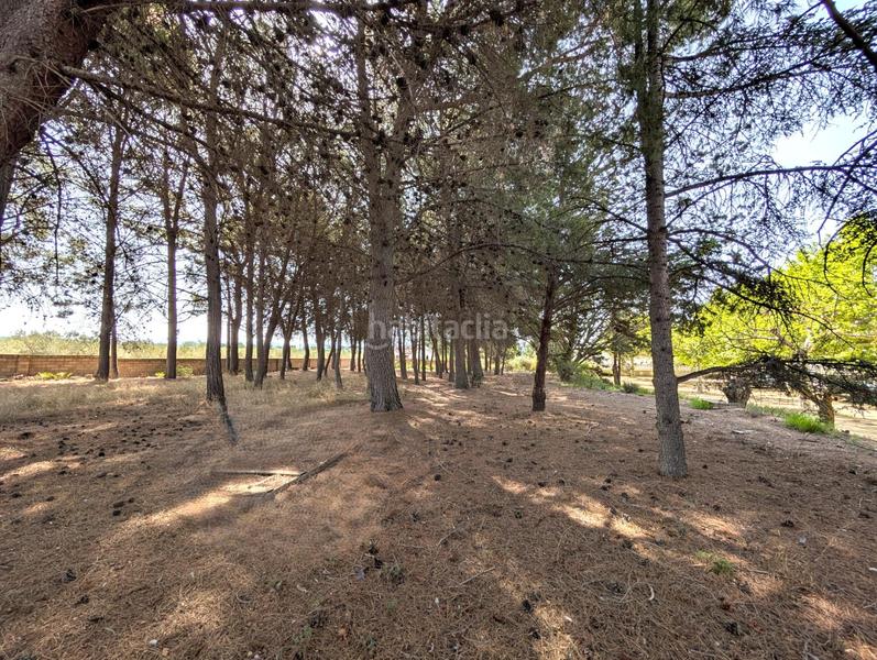 Foto 31fce81a-385d-47bd-8c28-a180182f97e7. Bauernhof mit parking in Onil