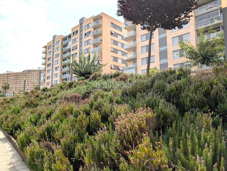 Foto 07d74214-8e65-422b-adb9-5146b713f77d. Piso excelente piso en urbanización de lujo en Playa de San Juan en Alicante