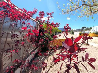 Chalet in Cortes-Huertas. En venta finca rústica con chalet privado e instalaciones de res