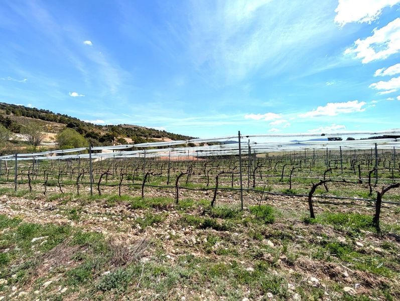 Foto b079af3d-945a-4eae-8724-b6126de97ec7. Mas dans camino mazajarán dans Moratalla