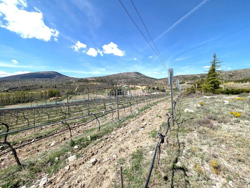 Foto d103a1a2-8faf-4a90-ba36-78fd269b4555. Mas dans camino mazajarán dans Moratalla