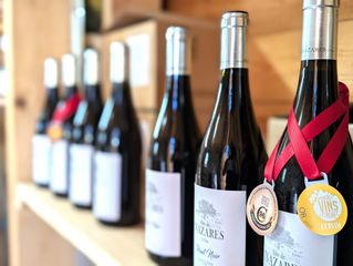 Geschäftsraum in Camino mazajarán. Exclusiva finca con viñedos y bodega en inazares