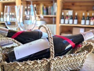Geschäftsraum in Camino mazajarán. Exclusiva finca con viñedos y bodega en inazares