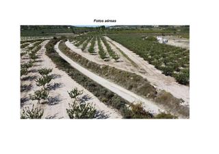Terreno residenziale  Polígono 2 parcela 27 la sarga. jijona/xixona (al. En venta parcela de 24.926 m2 en la sarga con proyecto para cent