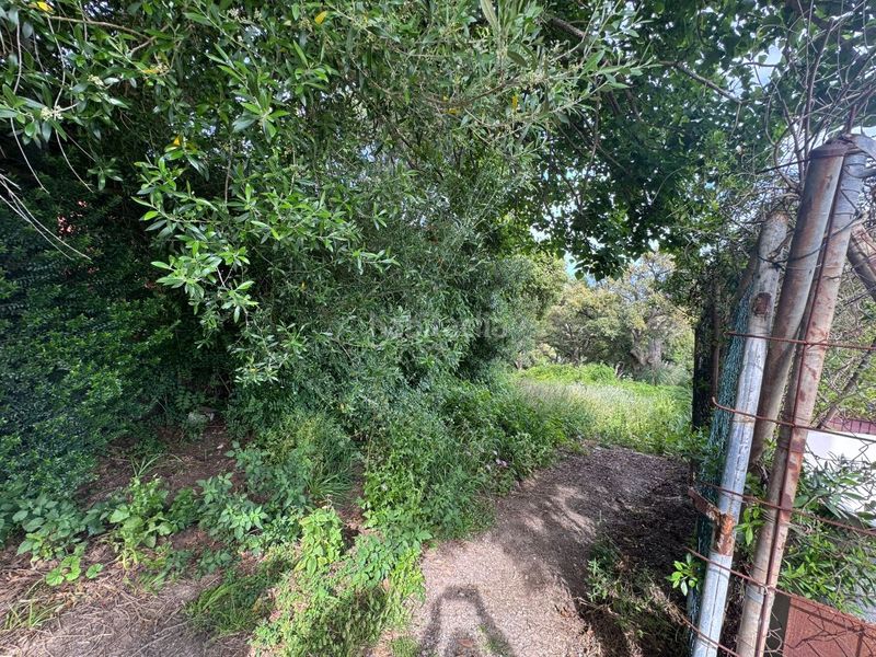 Foto 3107b044-a5d1-43e1-9bcb-331886212969. Finca rústica a calle afgano 16a a La Granja - La Colina - Los Pastores Algeciras