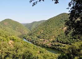 Finca rústica a N/a