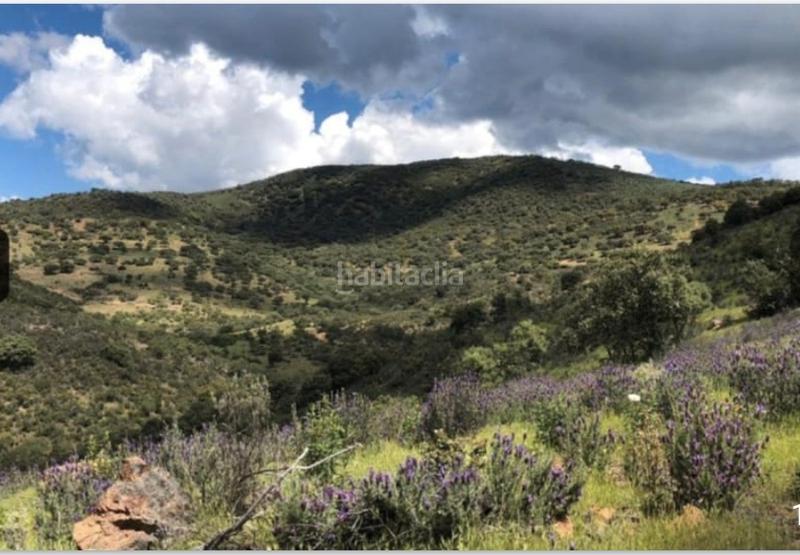 Foto 4b30f83a-2f45-43fd-bc92-a7672523fdf6. Finca rústica en Zufre