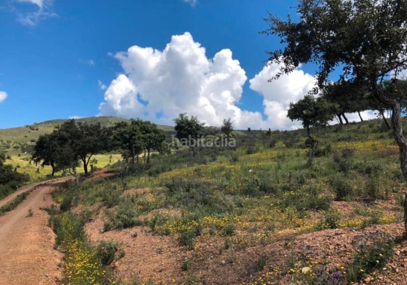 Foto 60ac5ac9-a3c9-4a52-a6b7-e4a6d987e387. Finca rústica en Zufre