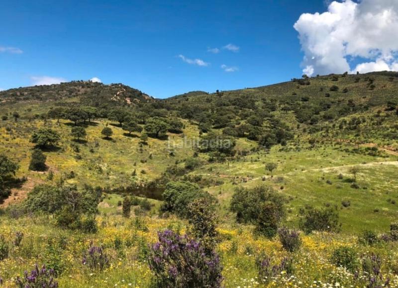 Foto c5274f58-9099-4da5-8b33-0bd04a621141. Finca rústica en Zufre