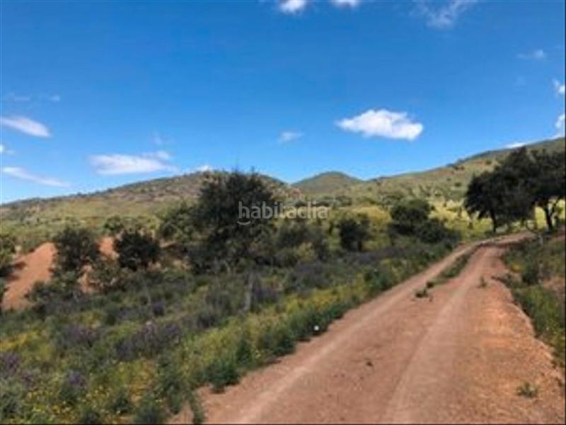 Foto 021af821-3e2a-4440-836d-6feaefd0a2ea. Finca rústica en Zufre