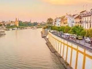 Transfer Business premise in Calle betis 39