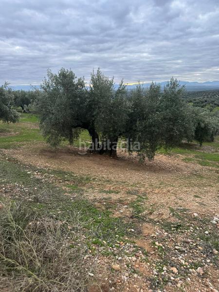 Foto 01271633-cff1-4bd5-aa9f-9678fc4d46f7. Landgut in ja-2321 181 in Andújar