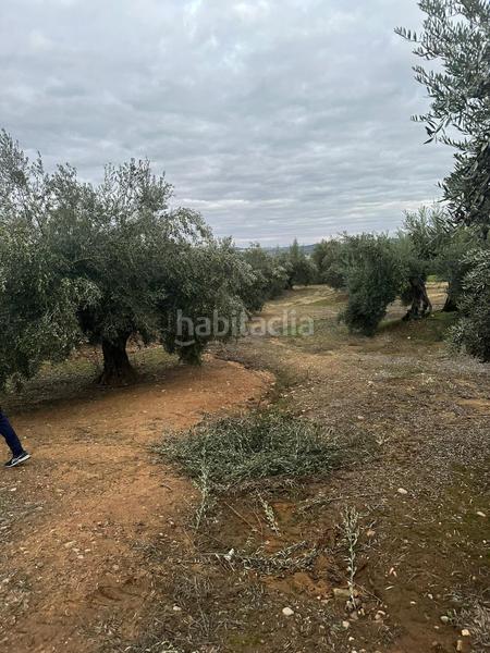 Foto 0219029e-c7d5-4de8-a191-9c113cd6ab5f. Landgut in ja-2321 181 in Andújar