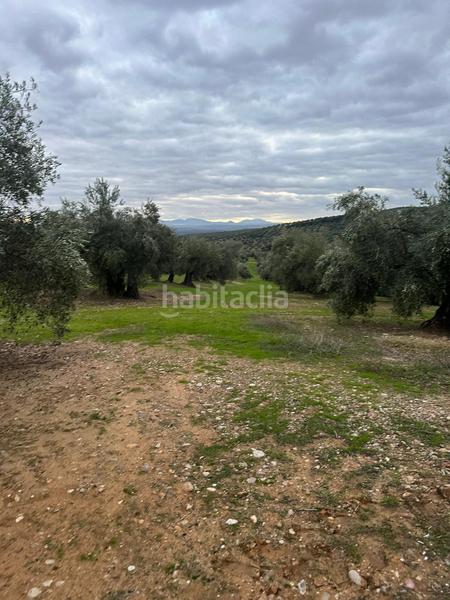Foto 17f5ca93-0199-483d-8449-0a3aac5bc8b5. Landgut in ja-2321 181 in Andújar