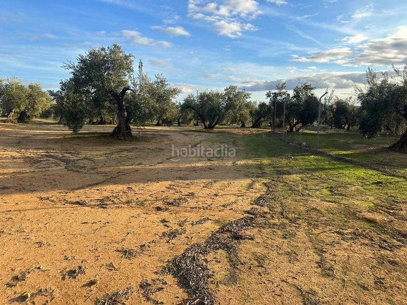 Foto 1a3aee7f-f76b-4471-a8dd-db8f7cc6c54e. Landgut in ja-2321 181 in Andújar