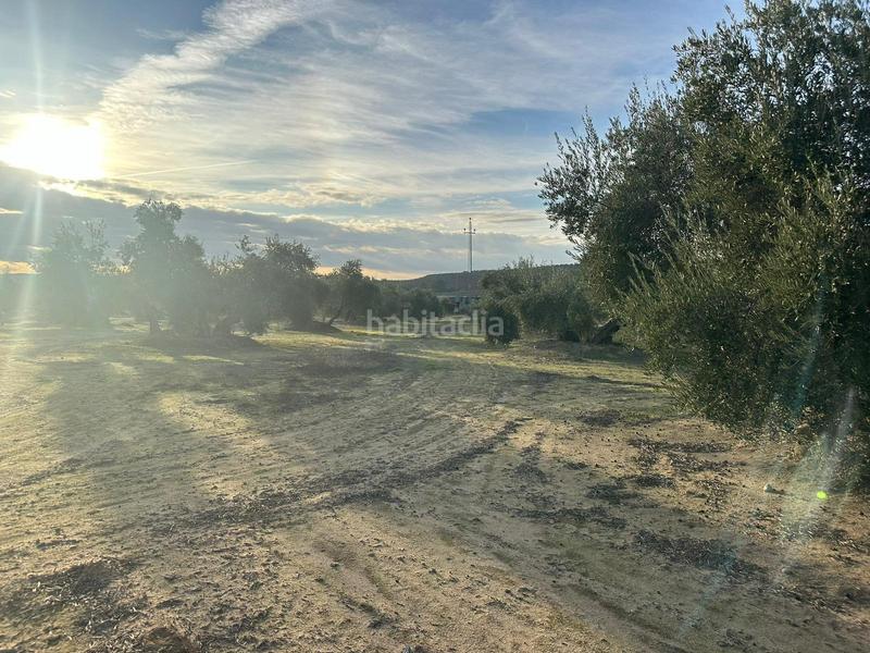 Foto 2bb20466-36ff-41bf-8874-be24e991ffa6. Landgut in ja-2321 181 in Andújar