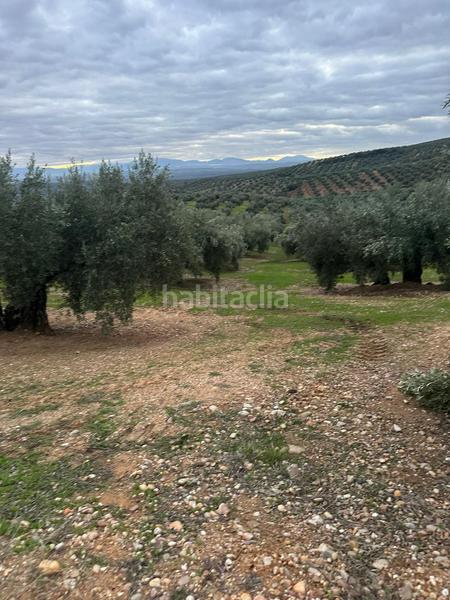 Foto 344e695f-9310-4d31-95d3-b6d0a6bdca1e. Landgut in ja-2321 181 in Andújar