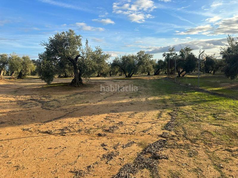 Foto 3c6ed034-c88a-4eee-9d5a-a8d8f9c7d463. Landgut in ja-2321 181 in Andújar