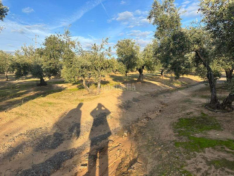 Foto 42eafa8f-430c-4372-b5ac-dd1d0d3b169e. Landgut in ja-2321 181 in Andújar