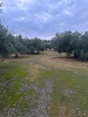 Finca rústica a Ja-2321 181. Oportunidad de olivos en villanueva de la reina!!!