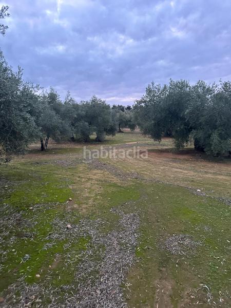 Foto 546d314e-5fbf-43d6-904f-d5d8b5e8c0a8. Landgut in ja-2321 181 in Andújar