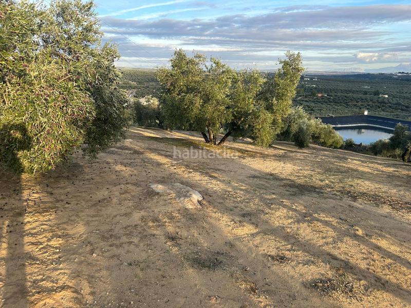 Foto 8364ea04-c774-41aa-97b0-b758108c4b4b. Landgut in ja-2321 181 in Andújar