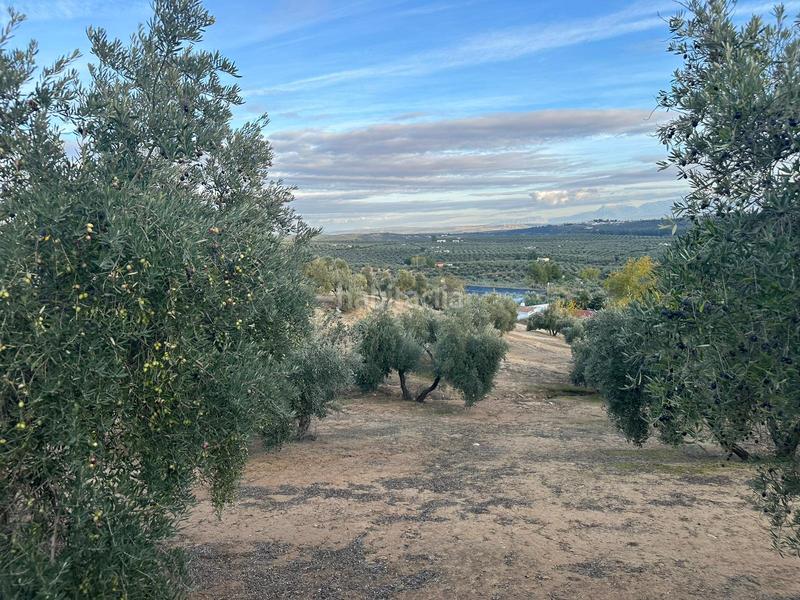 Foto 84bea152-b597-4ac3-89ac-ab408b6619be. Landgut in ja-2321 181 in Andújar