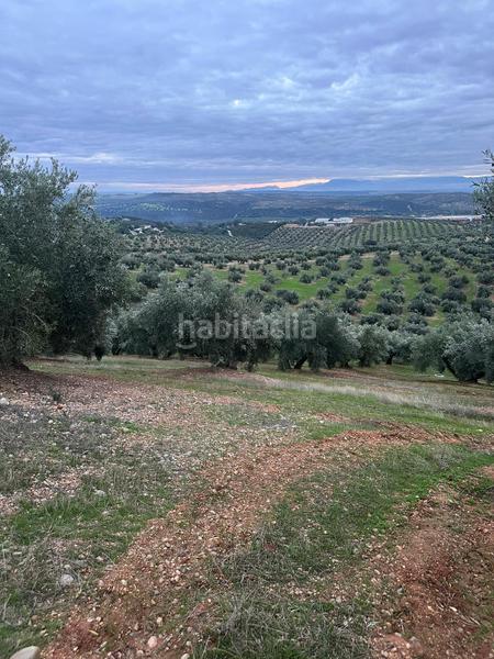 Foto 896a6e9e-14de-439a-8262-5ba9b07f18e6. Landgut in ja-2321 181 in Andújar