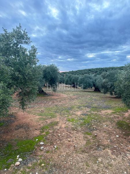 Foto 99569128-d475-4514-924d-ad461859e5db. Landgut in ja-2321 181 in Andújar