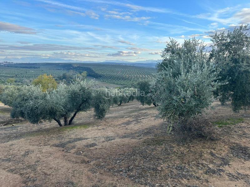 Foto 9ad2e55c-859e-4405-bf70-12443457be3b. Landgut in ja-2321 181 in Andújar