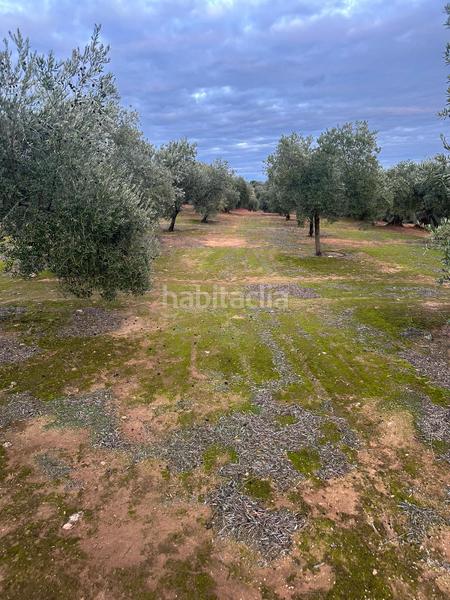 Foto bde6c2b8-6f44-416b-a72a-8daa9192dd63. Landgut in ja-2321 181 in Andújar