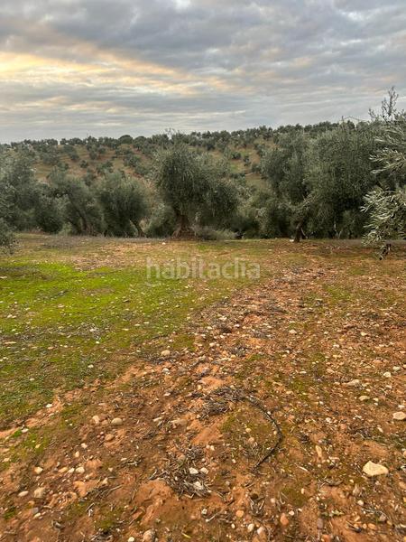 Foto ddabec39-f7f2-4f48-859c-a49e9af54514. Landgut in ja-2321 181 in Andújar