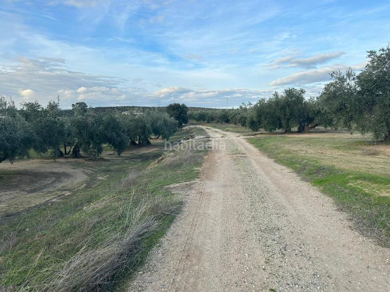 Foto e70768ff-f1cd-437c-bd41-4ce01e3a8071. Landgut in ja-2321 181 in Andújar