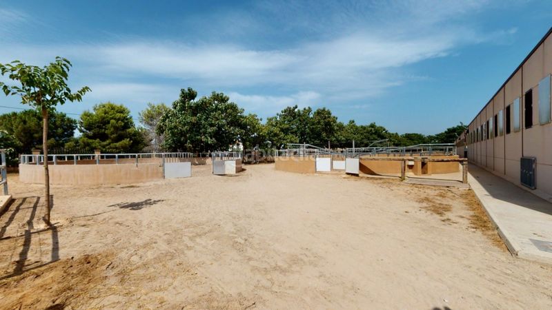 Foto 128801db-a670-4ec7-acc7-ea174b0101a1. Local commercial dans Los Felipes-Corral de Carmelo Chiva