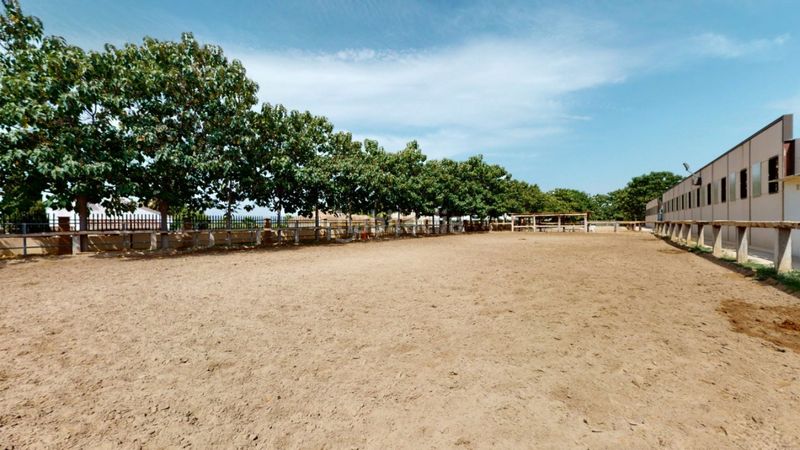Foto 22d09e23-0bea-4209-be0f-e9eb31265c69. Local commercial dans Los Felipes-Corral de Carmelo Chiva
