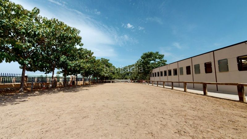 Foto 2833ed68-1248-405b-a570-8a1bb301c03a. Local commercial dans Los Felipes-Corral de Carmelo Chiva
